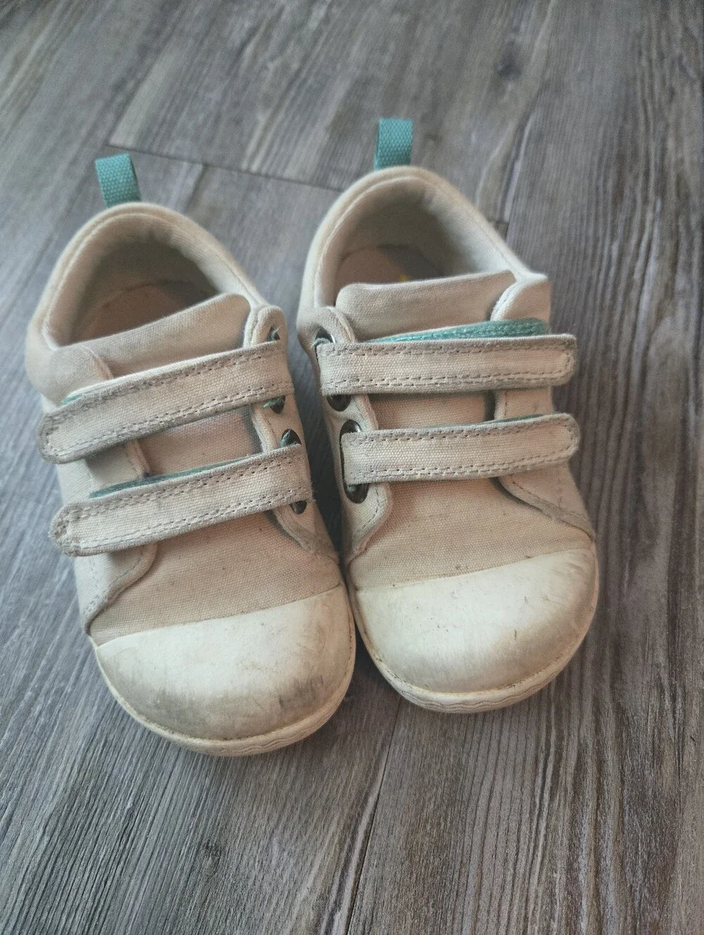 Ten Little Kids Canvas Hook-and-Loop Sneakers in Beige with Teal Accent